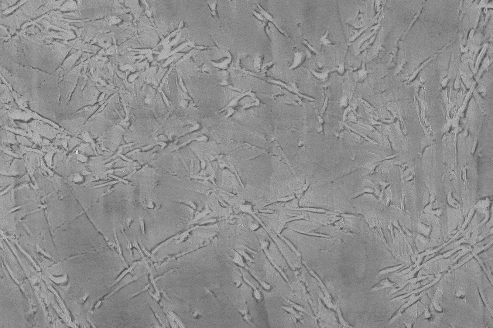 CERESIT VISAGE Concrete | Διακοσμητικός λεπτόκοκκος σοβάς τελικής στρώσης 5