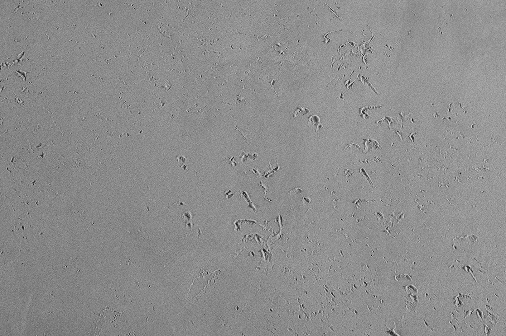 CERESIT VISAGE Concrete | Διακοσμητικός λεπτόκοκκος σοβάς τελικής στρώσης 11