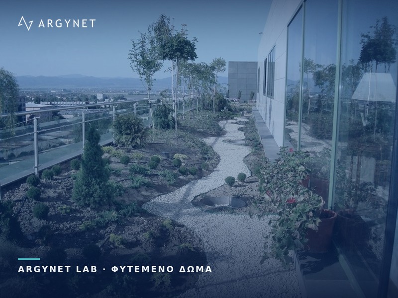 Εντατικός ταρατσόκηπος με δέντρα, θάμνους, διάδρομο από χαλίκι και φρεάτια επίσκεψης απορροών